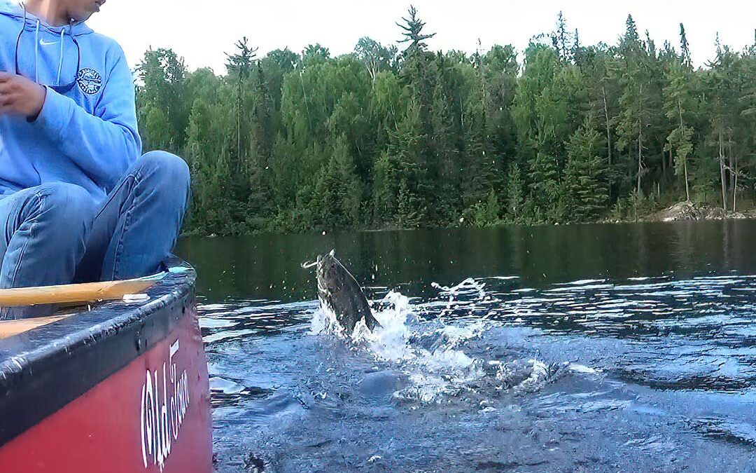 fishing smallmouth bass