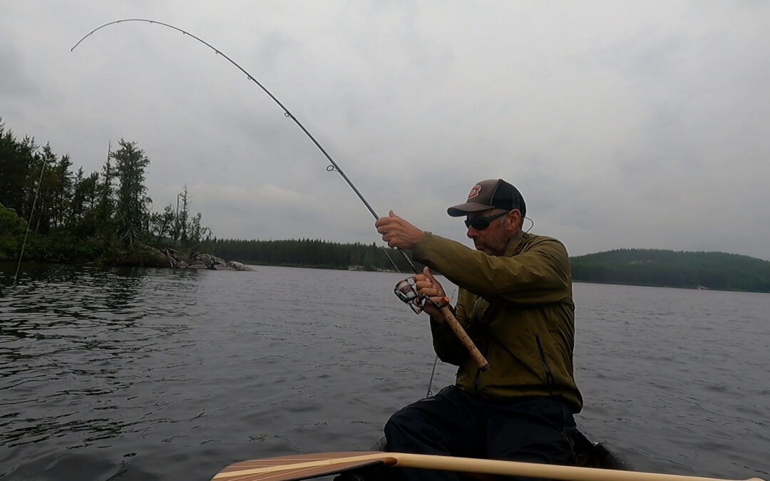 predator fishing rod in action