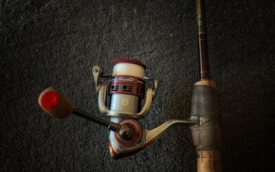 Reel Review. The Pflueger President XT