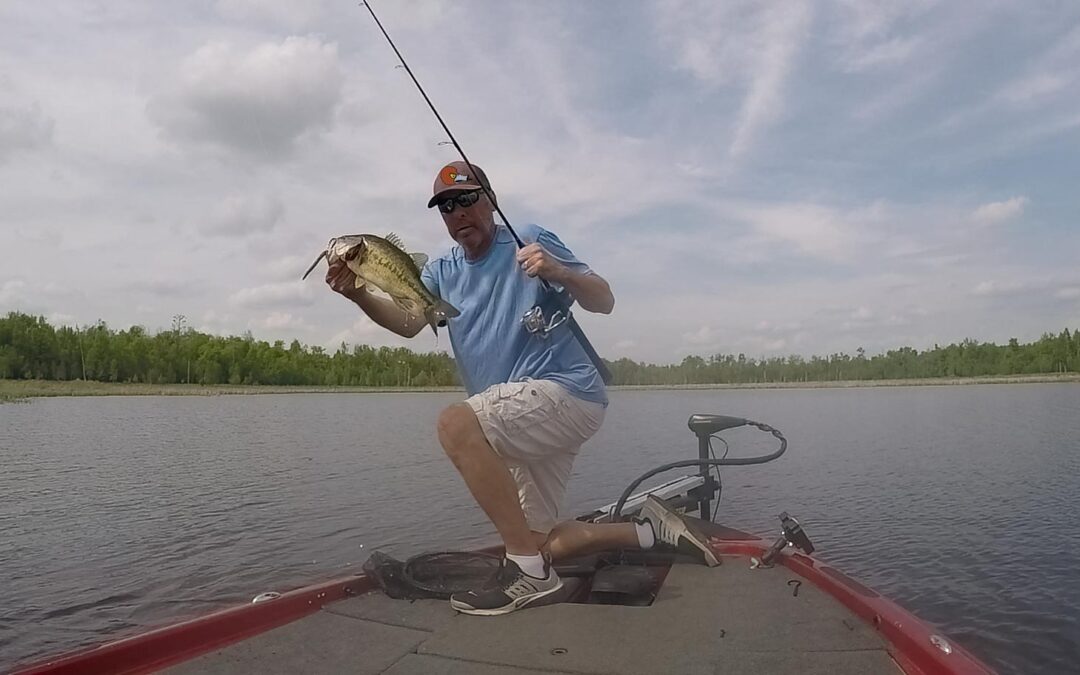 Spring Bass on Soft Plastics with Video