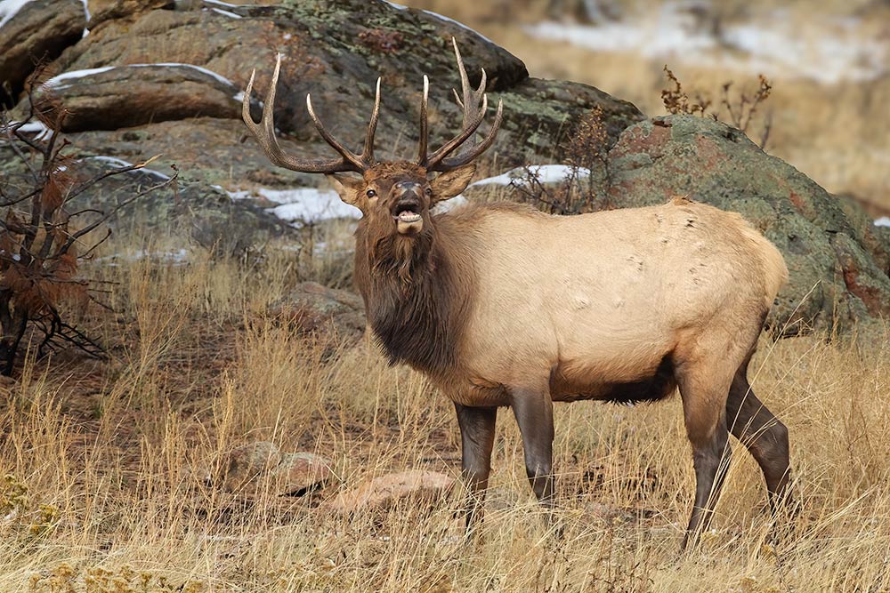 Rocky Mountain National Park in October