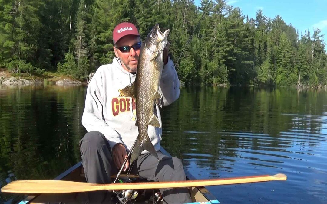 Canoe Country Lake Trout in June  with Video