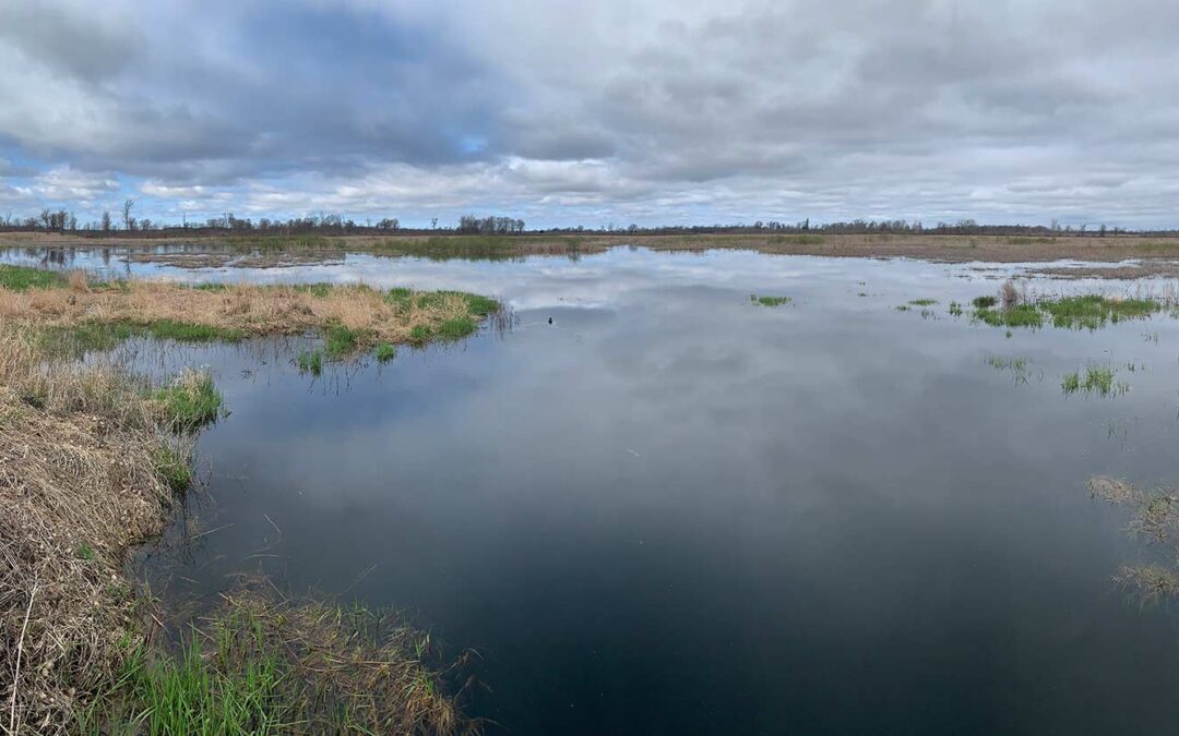 Sherburne National Wildlife Refuge: June