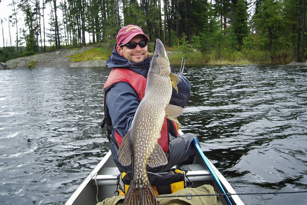 Tactics for Landing Big Pike in the BWCA and Quetico