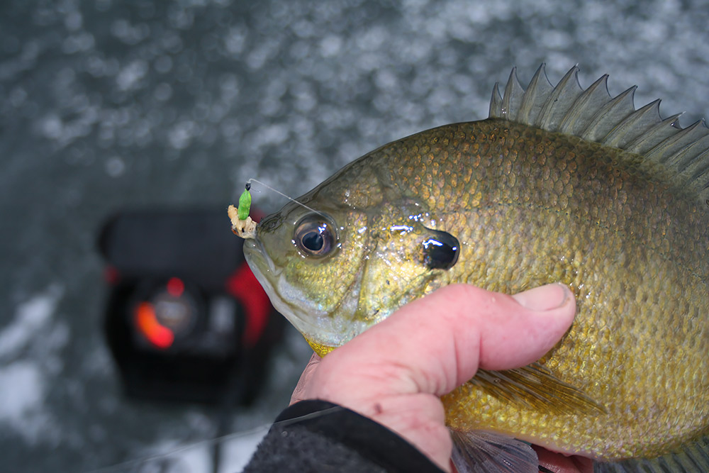 Preparing for a New Ice Fishing Season