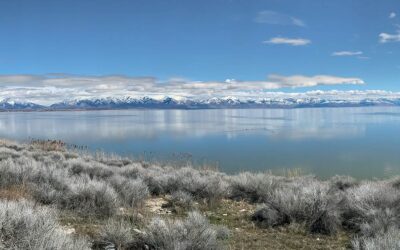 Adventure to Antelope Island